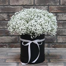 Цветочная композиция из Гипсофила в шляпной коробке в Денежниково