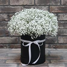 Цветочная композиция из Гипсофила в шляпной коробке в Денежниково